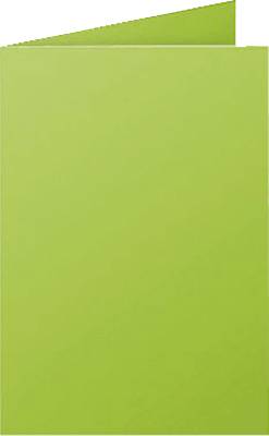 Clairefontaine PPP Doppelkarten/2321C, minze, Inh. 25