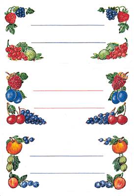 HERMA VARIO Küchenetiketten/3784 76x35 mm Beerenarrangements Inh.12