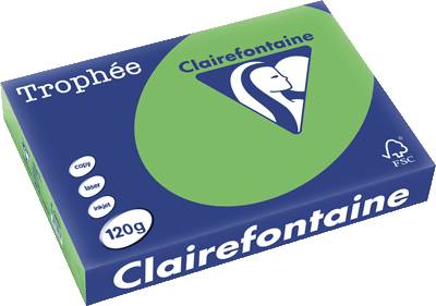 Clairefontaine Tropheé Papier/1293C A4 minze/maigrün 120g 250 Blatt