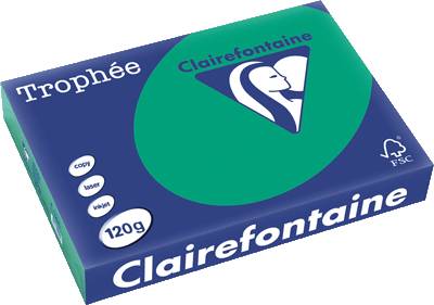Clairefontaine Tropheé Papier/1224C A4 tannengrün/dunkelgrün 120g 250 Blatt