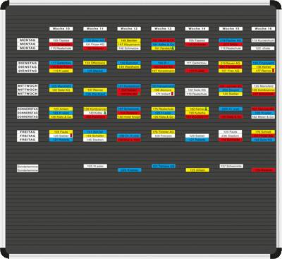 Ultradex Planrecord Stecktafeln/1033 schwarz