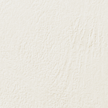 GBC Einbanddeckel LeatherGrain CE040070 DIN A4 weiß 100 Stück