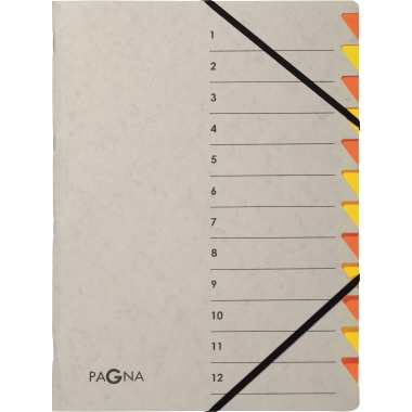 Pagna Ordnungsmappe Easy Grey 44312-12 12 Fächer orange