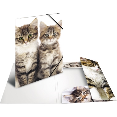 HERMA Sammelmappe 7143 DIN A3 PP Katzen