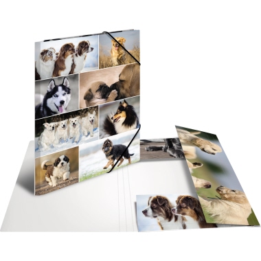HERMA Sammelmappe 19218 DIN A3 Karton Hunde