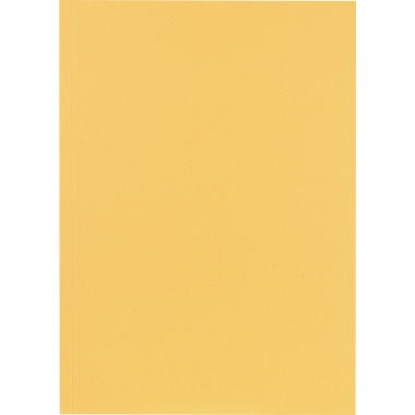 Falken Aktendeckel 80001233 23x31,8cm 250g ch 100 Stück