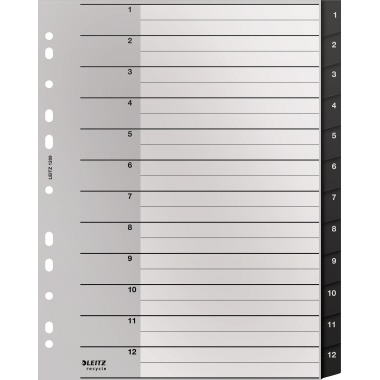 Leitz Register Recycle 12090000 A4 1-12 schwarz