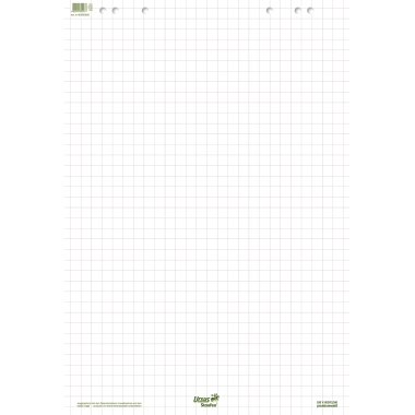 Staufen Flipchartblock Green 608580020 68x99cm 20Bl. kariert
