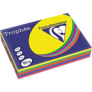 Clairefontaine Tropheé Papier/1704C 80g 5x 100 Blatt
