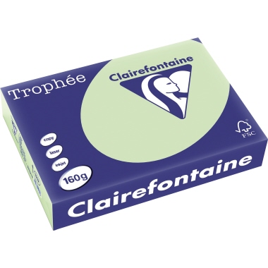 Trophee Color Kopierpapier 1107C A4 160g grün 250Bl.