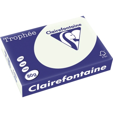 Trophee Color Kopierpapier 1974C A4 80g lindgrün 500Bl.