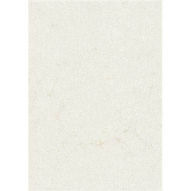 Zanders Elefantenhaut 88001576 DIN A4 weiß 100 Blatt