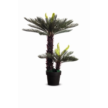 Paperflow Kunstpflanze PACYC80 Zycas 80cm