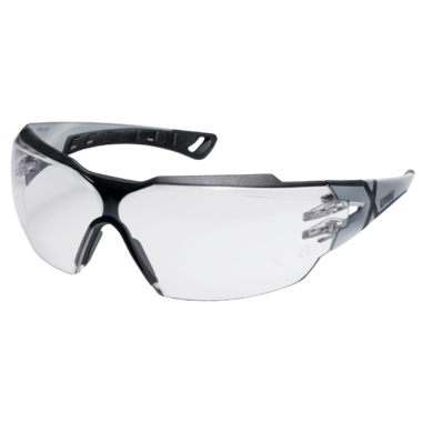 uvex Schutzbrille pheos cx2 9198013 si/sw