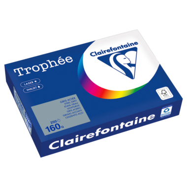 Clairefontaine 1009PC Kopierpapier A4 160g stahlgrau 250Bl