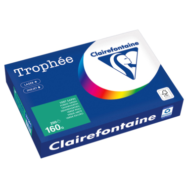 Clairefontaine Kopierpapier 1019PC A4 160g tannengrün 250Bl