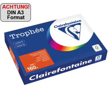 Clairefontaine Kopierpapier 1031PC A3 160g ziegelrot 250Bl