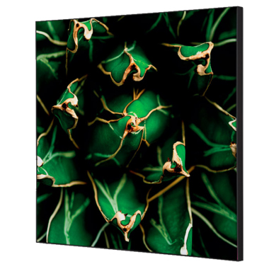 Showdown Wanddekoration Set 40x40cm Kaktus gn