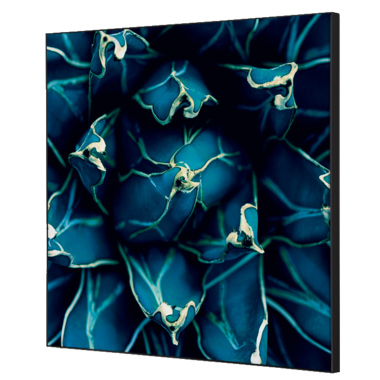 Showdown Wanddekoration Set 40x40cm Kaktus bl