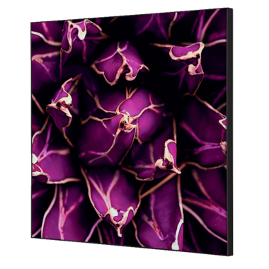 Showdown Wanddekoration Set 40x40cm Kaktus vi