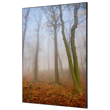 Showdown Wanddekoration Set A1 Herbstnebel