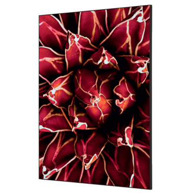 Showdown Wanddekoration Set A1 Kaktus rt