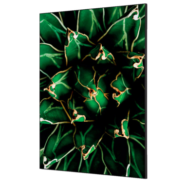 Showdown Wanddekoration Set A1 Kaktus gn