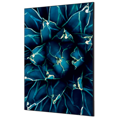 Showdown Wanddekoration Set A1 Kaktus bl