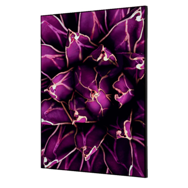 Showdown Wanddekoration Set A2 Kaktus vi