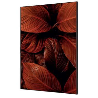 Showdown Wanddekoration Set A2 Blätter rt