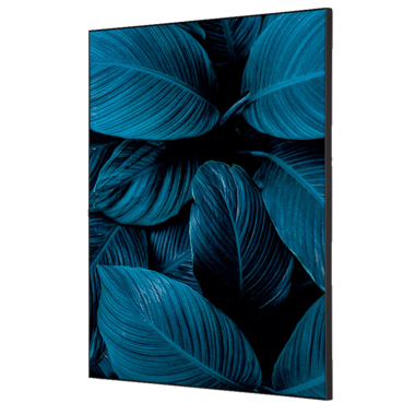 Showdown Wanddekoration Set A2 Blätter bl