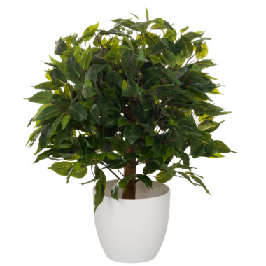 hjh OFFICE Kunstpflanze Ficus 871061