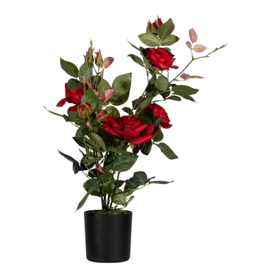 Paperflow Kunstpflanze PARROU54 Rosenstock rt 54cm