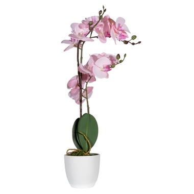 Paperflow Kunstpflanze PAORCH50 Orchidee ro 40cm