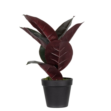 Paperflow Kunstpflanze PAFICE36 Gummibaum 36cm