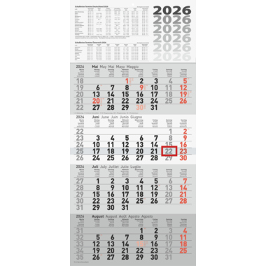 rido/ide Wandkalender 2026 7033420006 33x63,5cm gr 4M/1S