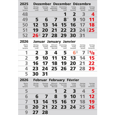 GÜSS Ersatzkalendarium 2026 77000e für 77000