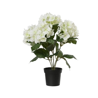 DECORIS Hortensie Kunstpflanze 28x46cm ws 899781