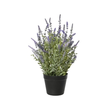 DECORIS Lavendelpflanze 30x48cm 899703
