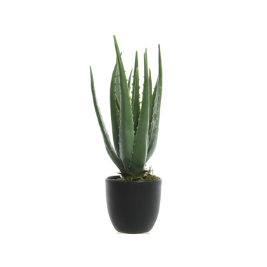 DECORIS 800789 DECORIS Kunstpflanze Aloe Vera im Topf