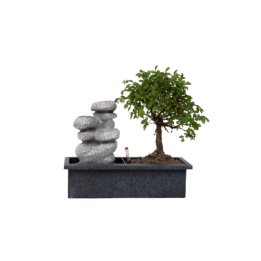 Bonsai Wasserfall-Set Stones 29cm