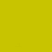 Duni Servietten 24 x 24 cm 1/4 kiwigrün 3-lagig 250 Stück