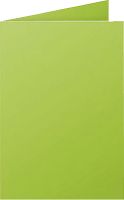 Clairefontaine PPP Doppelkarten/2321C, minze, Inh. 25