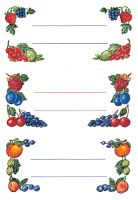 HERMA VARIO Küchenetiketten/3784 76x35 mm Beerenarrangements Inh.12
