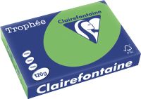 Clairefontaine Tropheé Papier/1293C A4 minze/maigrün 120g 250 Blatt