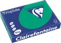 Clairefontaine Tropheé Papier/1224C A4 tannengrün/dunkelgrün 120g 250 Blatt