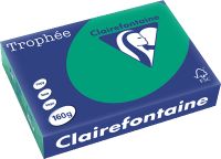 Clairefontaine Trophée Kopierpapier tannengrün/dunkelgrün 1019C A4 160g 250 Blatt