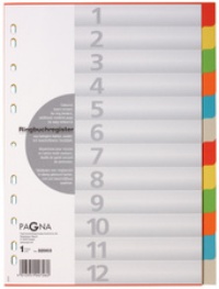 PAGNA Kartonregister/32003-20, farbig, 12-teilig