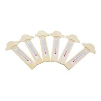 Thermometer DIY Autos 6er Set