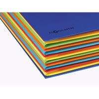 PAGNA Ordnungsmappe Deskorganizer 44133-01 DIN A4 12Fächer rot